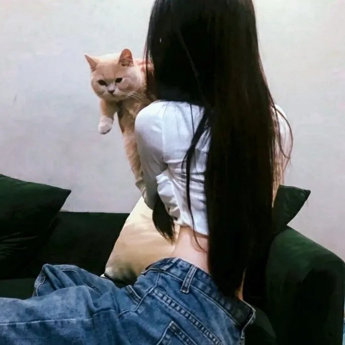 失踪少女名单